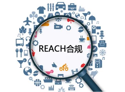 REACH检测